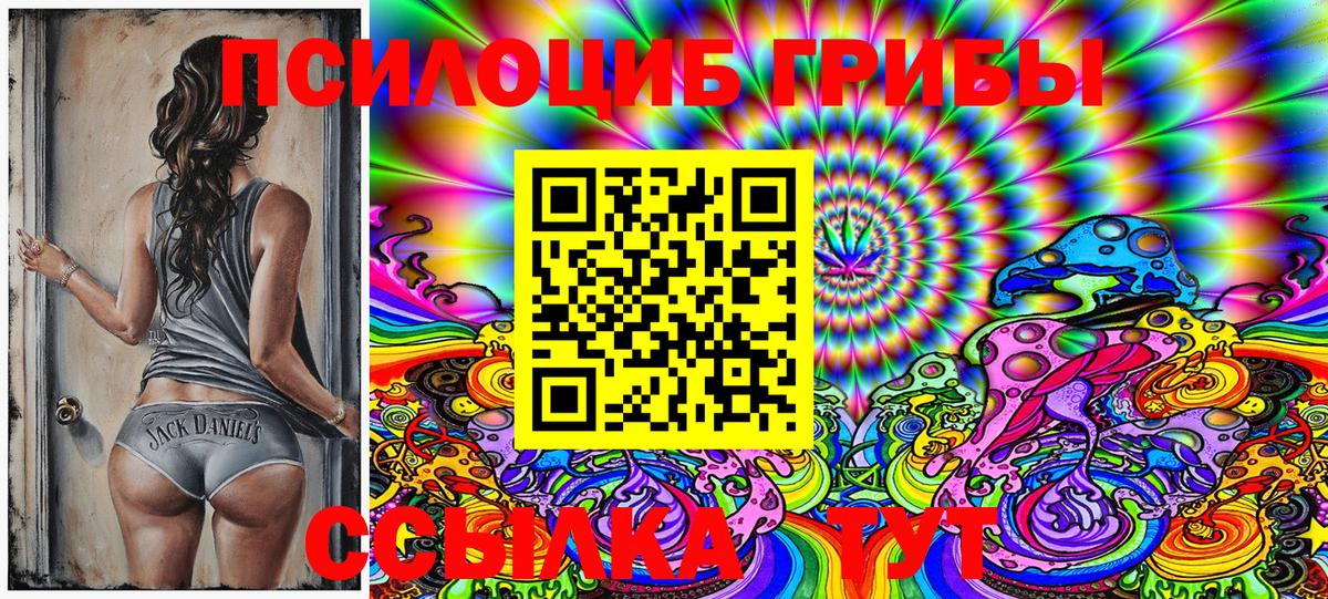 Псилоцибиновые грибы Psilocybe  Псилоцибиновые грибы Magic Shrooms  Вход с VPN  Моршанск 