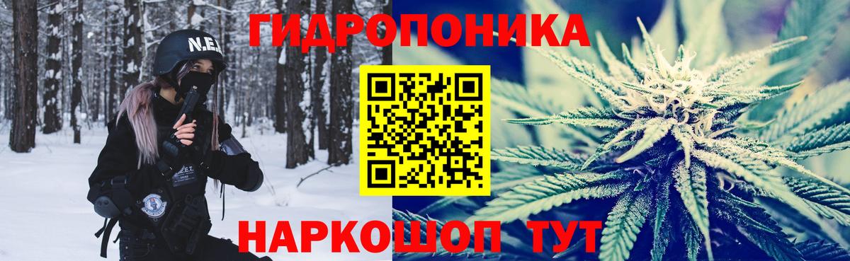 Конопля OG Kush  Бошки Шишки гибрид  Моршанск  Канабис конопля  Вход с VPN 